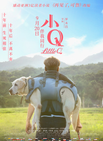 丁香婷婷综合激情五月色
